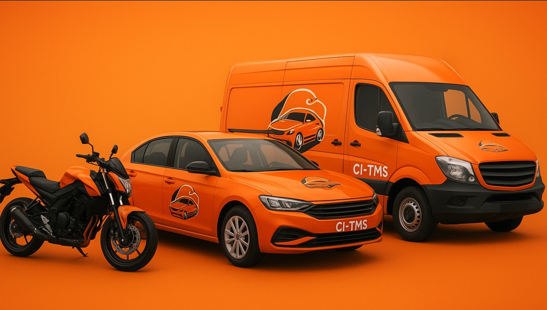 Chauffeurs professionnels